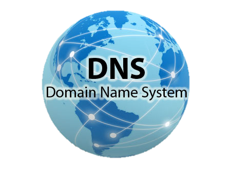 dns logo